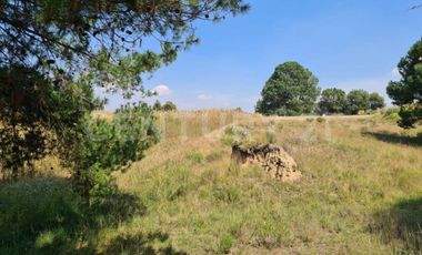 VENTA DE EXCELENTE TERRENO EN EL MUNICIPIO DE ACUAMANALA DE MIGUEL HIDALGO TLAXCALA