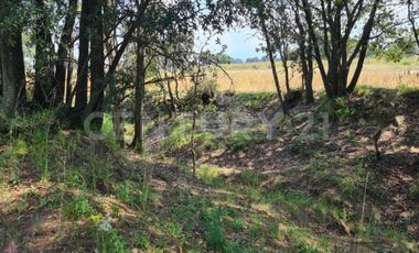 VENTA DE EXCELENTE TERRENO EN EL MUNICIPIO DE ACUAMANALA DE MIGUEL HIDALGO TLAXCALA