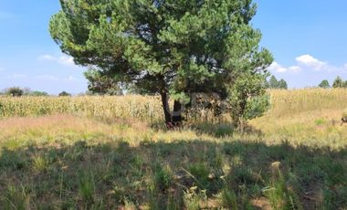 VENTA DE EXCELENTE TERRENO EN EL MUNICIPIO DE ACUAMANALA DE MIGUEL HIDALGO TLAXCALA