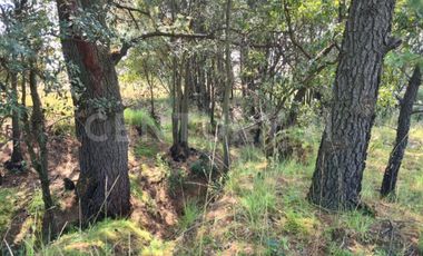 VENTA DE EXCELENTE TERRENO EN EL MUNICIPIO DE ACUAMANALA DE MIGUEL HIDALGO TLAXCALA