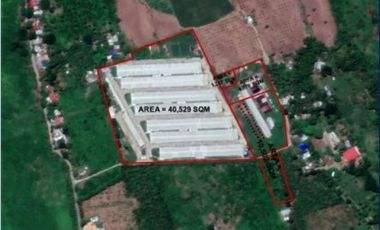 Poulty Farm for Lease in San Antonio Quezon