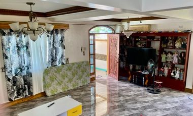 4 Bedroom Residential/Commercial Property in Cabangan, Zambales