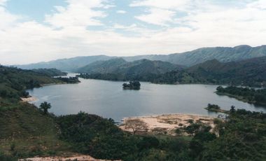 Se vende finca de 73 hectareas, Purificación- Tolima