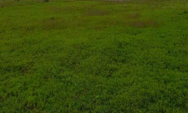 VENDO LOTE  EN  SANTA CRUZ TLAXCALA   (ATRAS DEL COBAT)