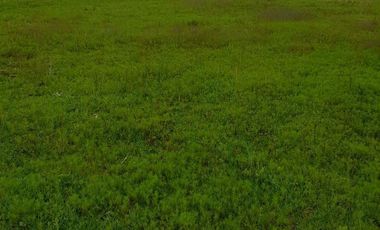 VENDO LOTE  EN  SANTA CRUZ TLAXCALA   (ATRAS DEL COBAT)