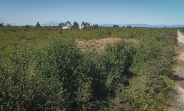 Vende Parcela en sector Panitao, Puerto Montt