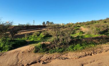 Quilpué, Belloto sur, lado Troncal Sur, gran sitio 8856 mt2