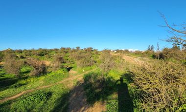 Quilpué, Belloto sur, lado Troncal Sur, gran sitio 8856 mt2