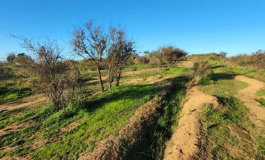 Quilpué, Belloto sur, lado Troncal Sur, gran sitio 8856 mt2