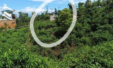 LOT FOR SALE WITH CITY VIEW IN CEBU CITY