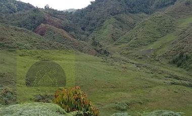 Venta Finca Productiva Concepción Antioquia