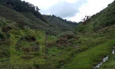 Venta Finca Productiva Concepción Antioquia