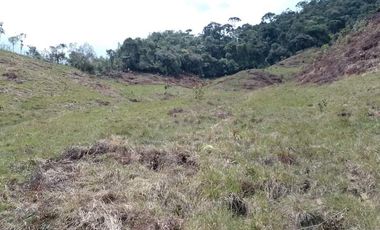 Venta Finca Productiva Concepción Antioquia