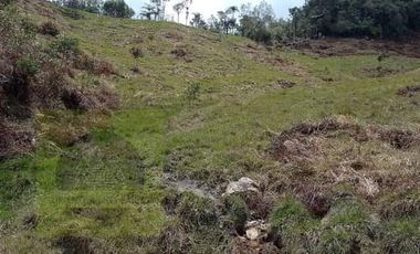 Venta Finca Productiva Concepción Antioquia