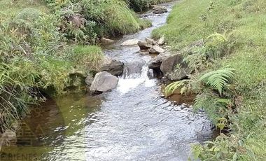 Venta Finca Productiva Concepción Antioquia