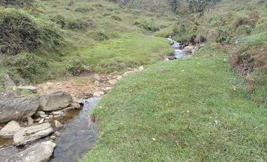 Venta Finca Productiva Concepción Antioquia