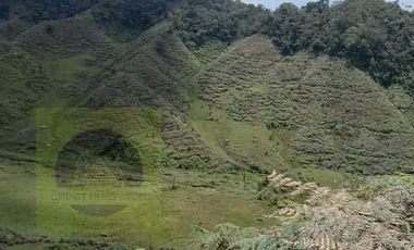 Venta Finca Productiva Concepción Antioquia