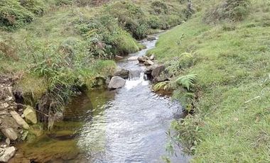 Venta Finca Productiva Concepción Antioquia