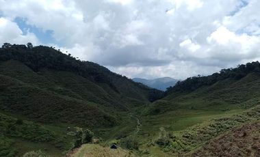 Venta Finca Productiva Concepción Antioquia