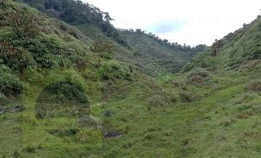 Venta Finca Productiva Concepción Antioquia