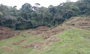 Venta Finca Productiva Concepción Antioquia