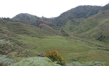 Venta Finca Productiva Concepción Antioquia
