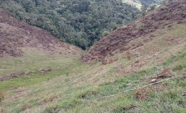 Venta Finca Productiva Concepción Antioquia