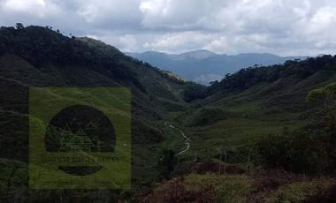 Venta Finca Productiva Concepción Antioquia
