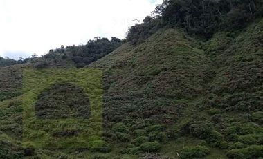 Venta Finca Productiva Concepción Antioquia