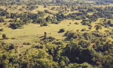 Lot for sale in Nueva Ecija, Gitnáng Luzon