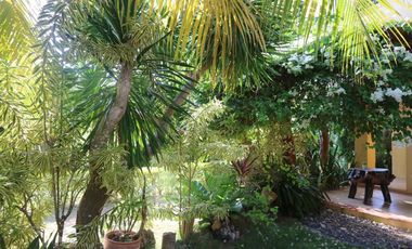 4BR Residential/Commercial Property for Sale in Doljo, Panglao Island, Bohol