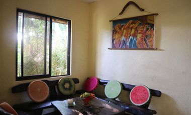 4BR Residential/Commercial Property for Sale in Doljo, Panglao Island, Bohol