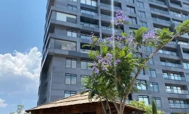 Inversión Inteligente en Dioon Residencial