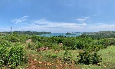 Dijual Tanah di Kawasan Pantai Dondon - Lombok