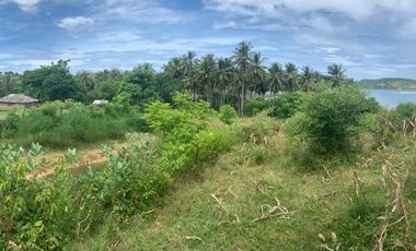 Dijual Tanah di Kawasan Pantai Dondon - Lombok
