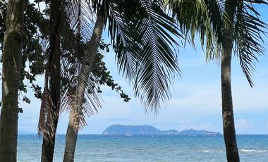 Beach front lot in Dumaguete, Dauin, Zamboanguita