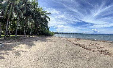 Beach front lot in Dumaguete, Dauin, Zamboanguita