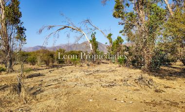 Se vende paño de 17,5 ha. en sector Los Naranjos, Curacavi.