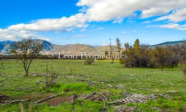 Se vende paño de 17,5 ha. en sector Los Naranjos, Curacavi.
