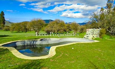 Se vende paño de 17,5 ha. en sector Los Naranjos, Curacavi.