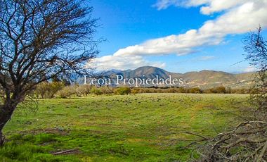 Se vende paño de 17,5 ha. en sector Los Naranjos, Curacavi.