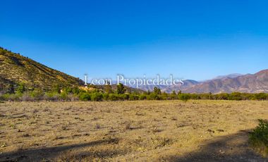 Se vende paño de 17,5 ha. en sector Los Naranjos, Curacavi.