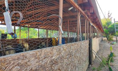 Se vende paño de 17,5 ha. en sector Los Naranjos, Curacavi.
