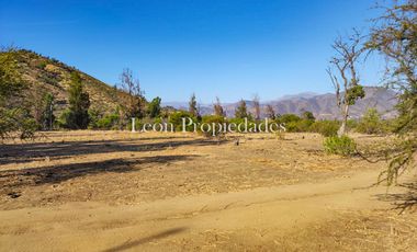 Se vende paño de 17,5 ha. en sector Los Naranjos, Curacavi.