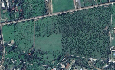 Se vende paño de 17,5 ha. en sector Los Naranjos, Curacavi.