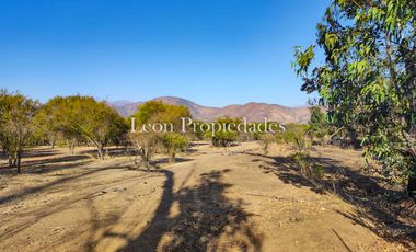 Se vende paño de 17,5 ha. en sector Los Naranjos, Curacavi.