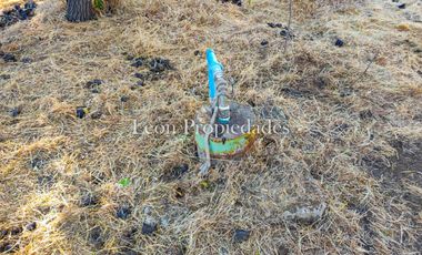 Se vende paño de 17,5 ha. en sector Los Naranjos, Curacavi.