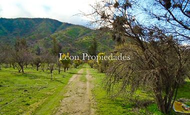 Se vende paño de 17,5 ha. en sector Los Naranjos, Curacavi.