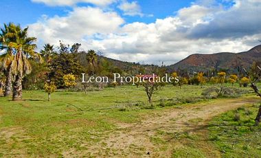 Se vende paño de 17,5 ha. en sector Los Naranjos, Curacavi.
