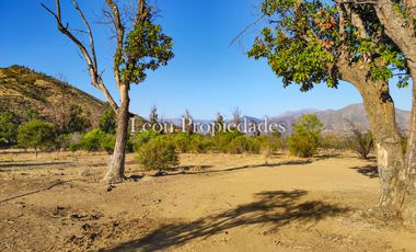Se vende paño de 17,5 ha. en sector Los Naranjos, Curacavi.